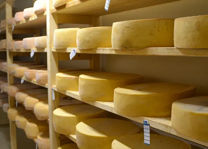 la ferme 10